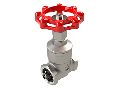 SVF505FSST06 1 1/4" GLOBE Valve 800# FS, BB, A182-F316L Threaded  850F @1975 PSI